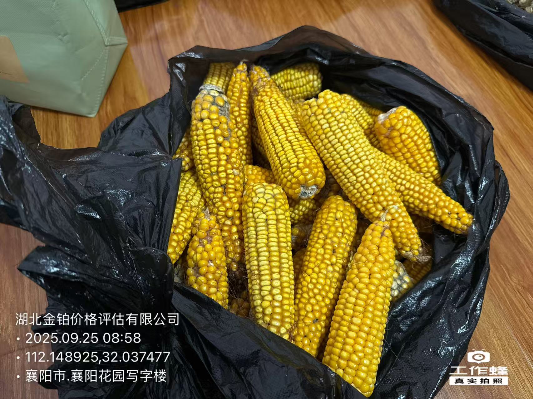 微信图片_20250925101146_9_7.jpg